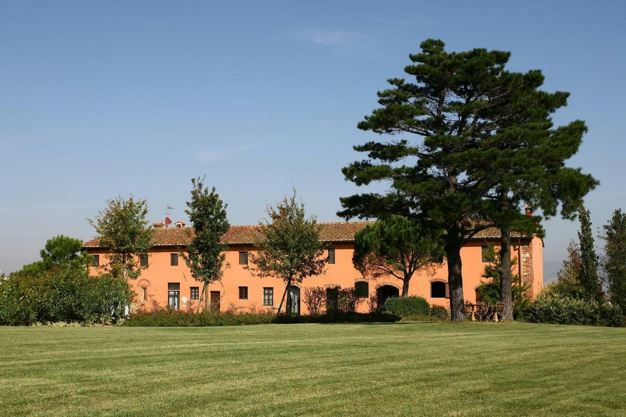 La Magnifica B&B Fauglia Extérieur photo