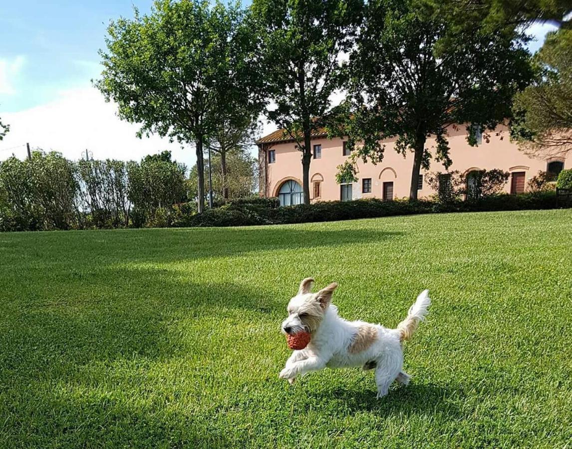 La Magnifica B&B Fauglia Extérieur photo